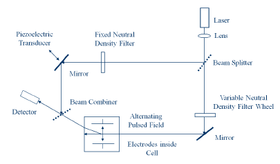 image of optical arrangement for zeta potential determination