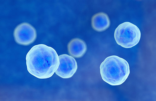 image of particle sizing