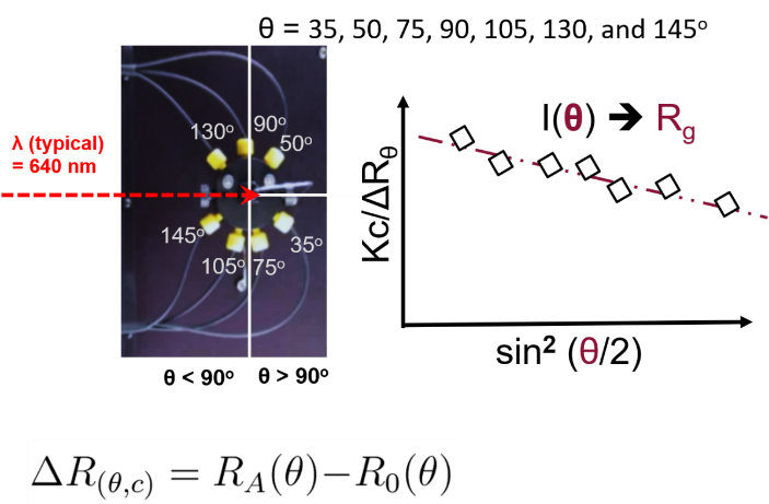 Angular dependence of scattered light is used to measure size, Rg, and molecular weight, Mw