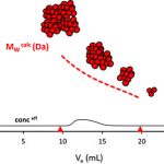 使用 BI-MwA 進行多角度靜態光散射檢測-美國布魯克海文儀器公司（Brookhaven）