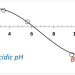 布魯克海文儀器公司自動滴定儀 BI-ZTU 用于 pH 值對 Zeta 電位的影響-美國布魯克海文儀器公司（Brookhaven）