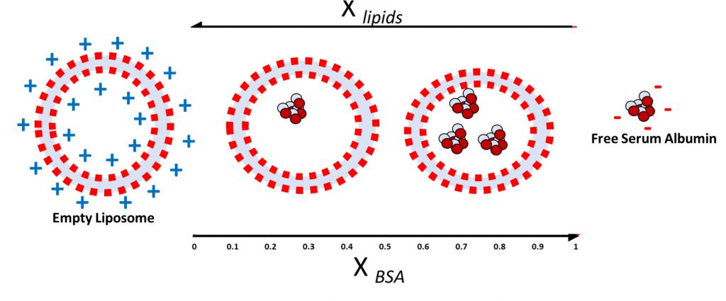 negative charge and zeta potential